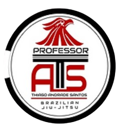 Tiago Andrade Santos